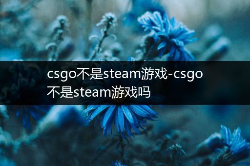 csgo不是steam游戏-csgo不是steam游戏吗