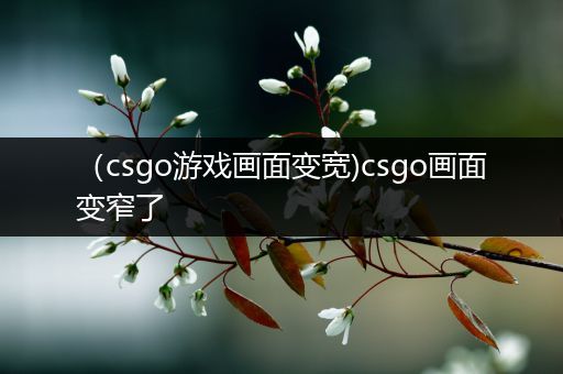 （csgo游戏画面变宽)csgo画面变窄了