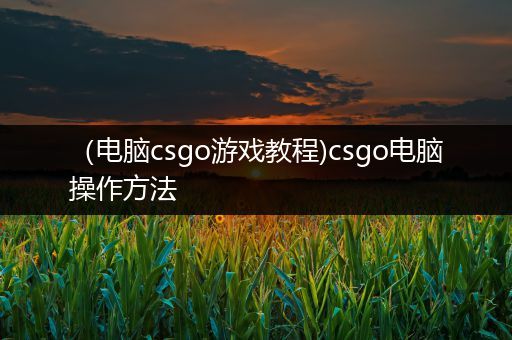 （电脑csgo游戏教程)csgo电脑操作方法