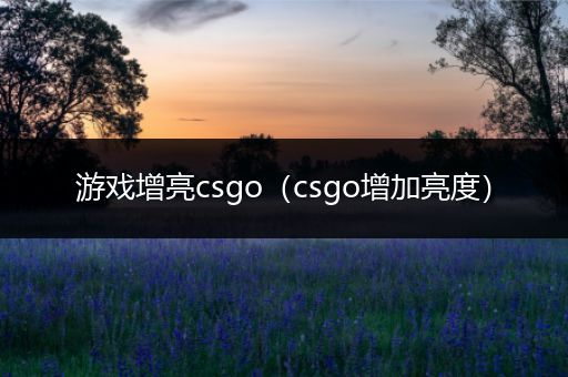 游戏增亮csgo（csgo增加亮度）