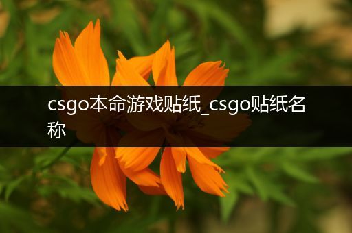 csgo本命游戏贴纸_csgo贴纸名称