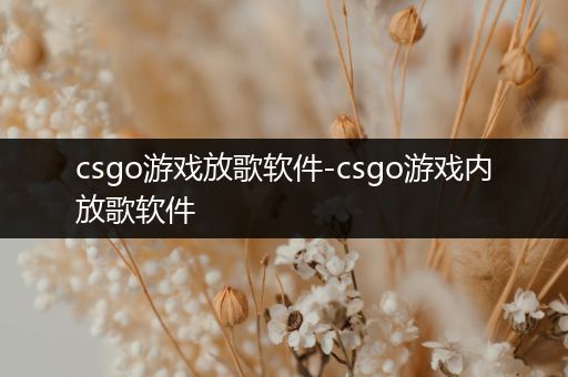 csgo游戏放歌软件-csgo游戏内放歌软件