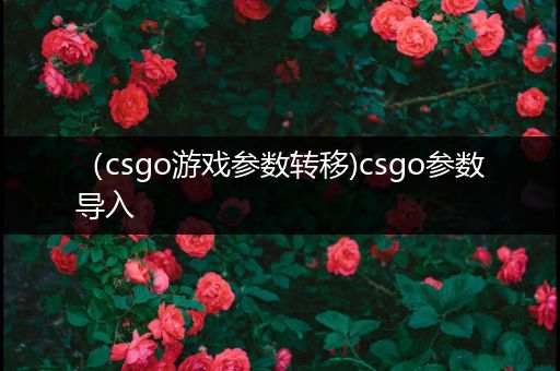 （csgo游戏参数转移)csgo参数导入