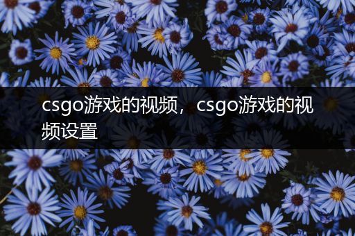 csgo游戏的视频，csgo游戏的视频设置