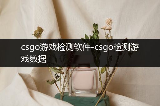 csgo游戏检测软件-csgo检测游戏数据