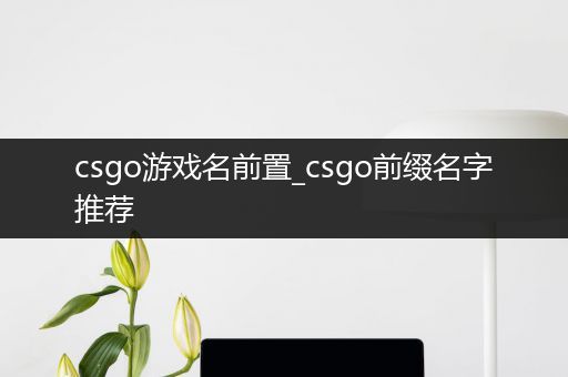 csgo游戏名前置_csgo前缀名字推荐