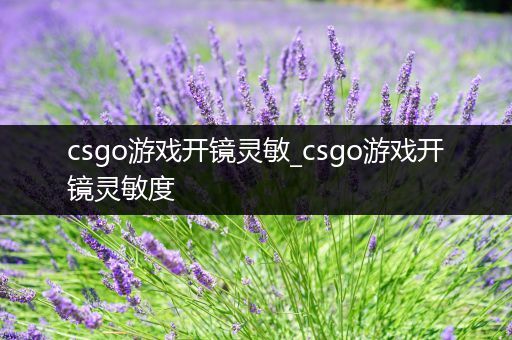 csgo游戏开镜灵敏_csgo游戏开镜灵敏度