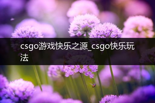 csgo游戏快乐之源_csgo快乐玩法