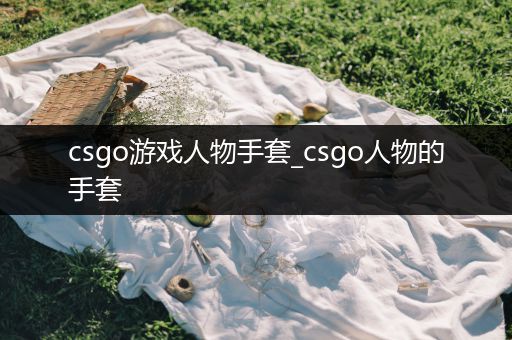 csgo游戏人物手套_csgo人物的手套