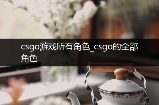 csgo游戏所有角色_csgo的全部角色