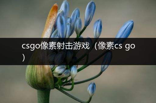 csgo像素射击游戏（像素cs go）