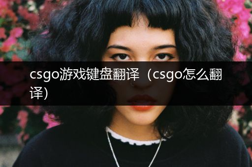 csgo游戏键盘翻译（csgo怎么翻译）