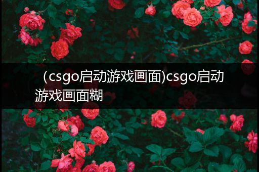 （csgo启动游戏画面)csgo启动游戏画面糊