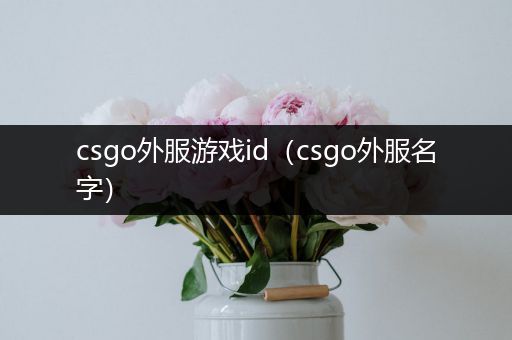 csgo外服游戏id（csgo外服名字）