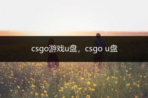 csgo游戏u盘，csgo u盘