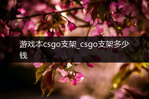 游戏本csgo支架_csgo支架多少钱