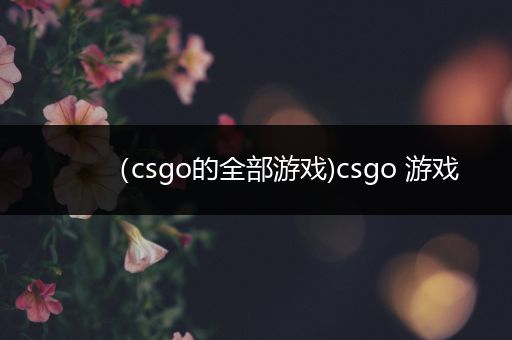 （csgo的全部游戏)csgo 游戏