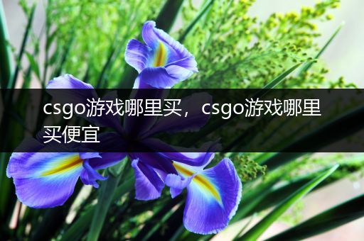 csgo游戏哪里买，csgo游戏哪里买便宜