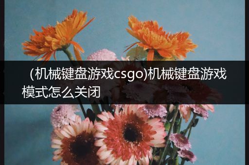 （机械键盘游戏csgo)机械键盘游戏模式怎么关闭