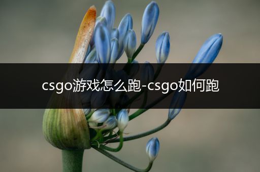 csgo游戏怎么跑-csgo如何跑