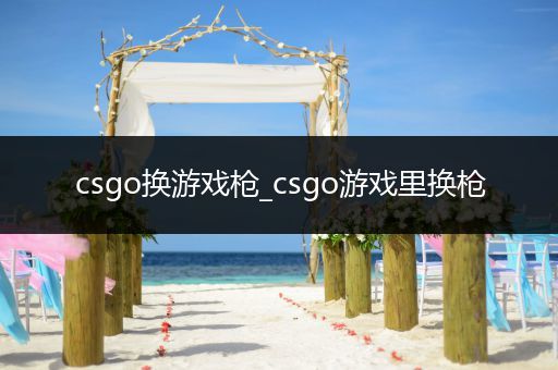 csgo换游戏枪_csgo游戏里换枪