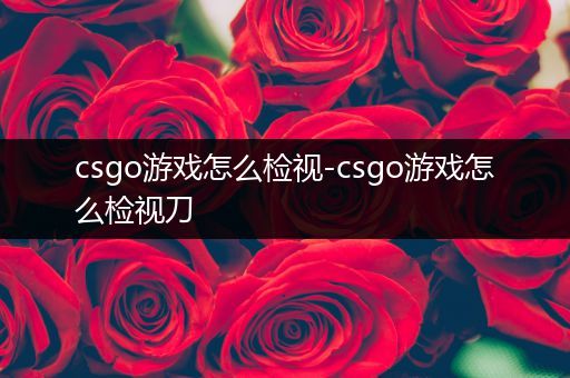 csgo游戏怎么检视-csgo游戏怎么检视刀