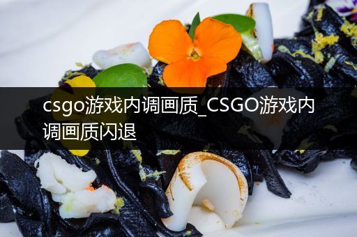 csgo游戏内调画质_CSGO游戏内调画质闪退