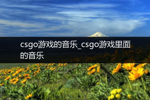 csgo游戏的音乐_csgo游戏里面的音乐