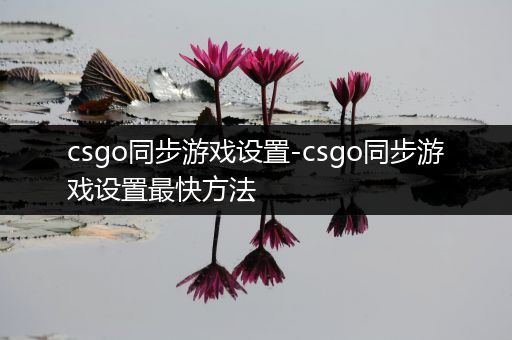 csgo同步游戏设置-csgo同步游戏设置最快方法