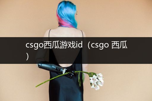 csgo西瓜游戏id（csgo 西瓜）