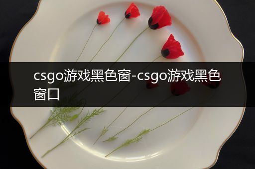 csgo游戏黑色窗-csgo游戏黑色窗口