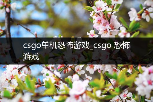 csgo单机恐怖游戏_csgo 恐怖游戏