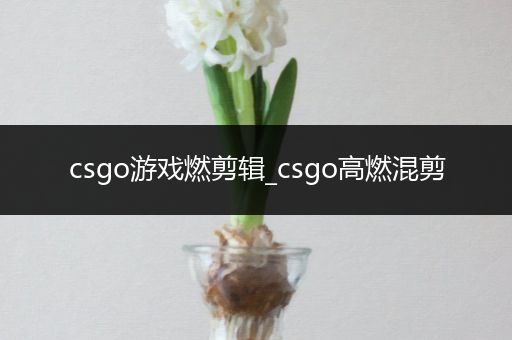 csgo游戏燃剪辑_csgo高燃混剪