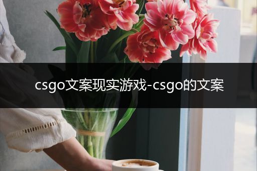 csgo文案现实游戏-csgo的文案