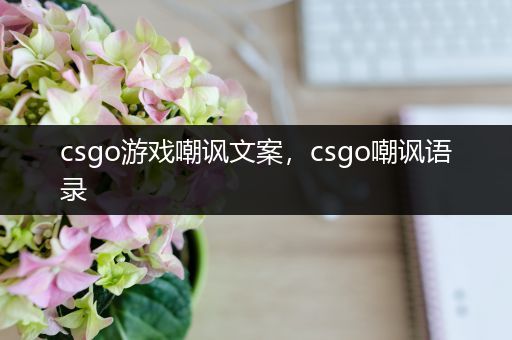 csgo游戏嘲讽文案，csgo嘲讽语录