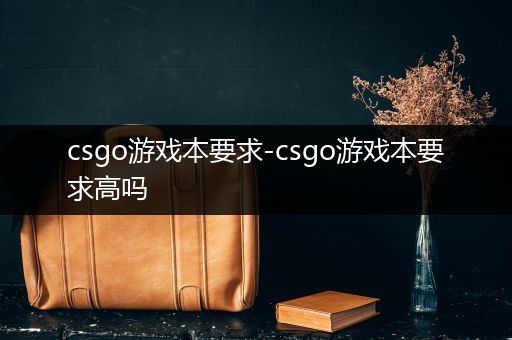 csgo游戏本要求-csgo游戏本要求高吗