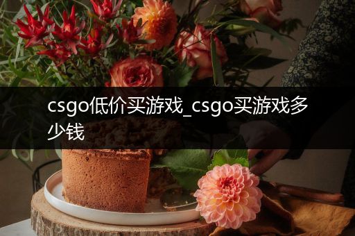 csgo低价买游戏_csgo买游戏多少钱