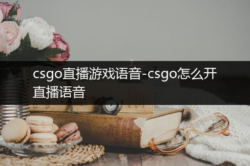 csgo直播游戏语音-csgo怎么开直播语音