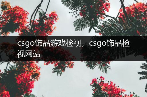 csgo饰品游戏检视，csgo饰品检视网站