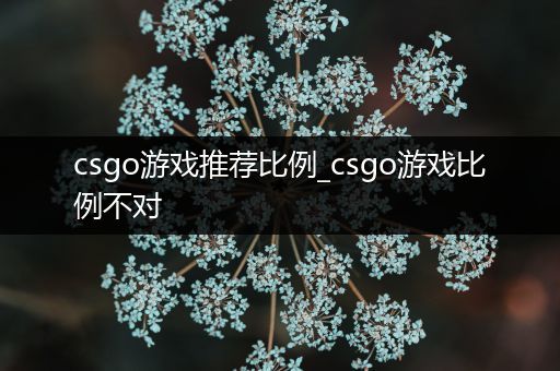 csgo游戏推荐比例_csgo游戏比例不对