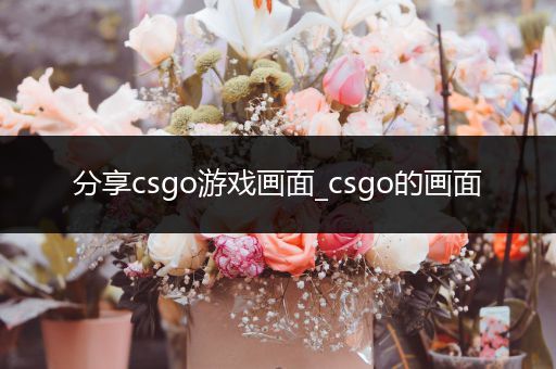 分享csgo游戏画面_csgo的画面