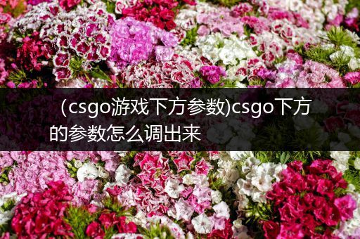 （csgo游戏下方参数)csgo下方的参数怎么调出来