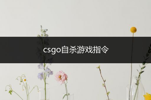 csgo自杀游戏指令