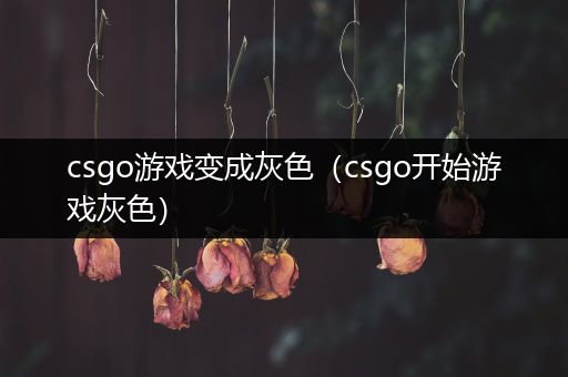 csgo游戏变成灰色（csgo开始游戏灰色）