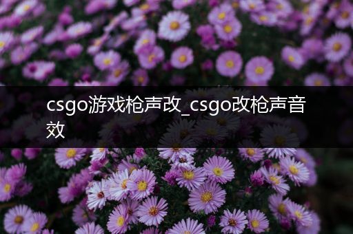 csgo游戏枪声改_csgo改枪声音效