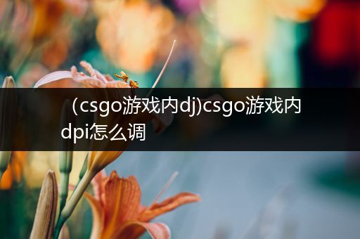 （csgo游戏内dj)csgo游戏内dpi怎么调