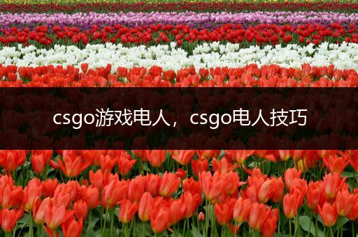 csgo游戏电人，csgo电人技巧