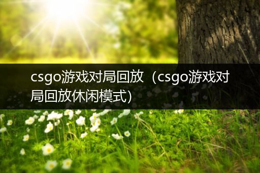 csgo游戏对局回放（csgo游戏对局回放休闲模式）