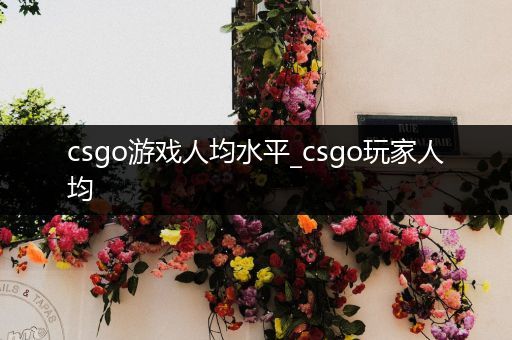 csgo游戏人均水平_csgo玩家人均