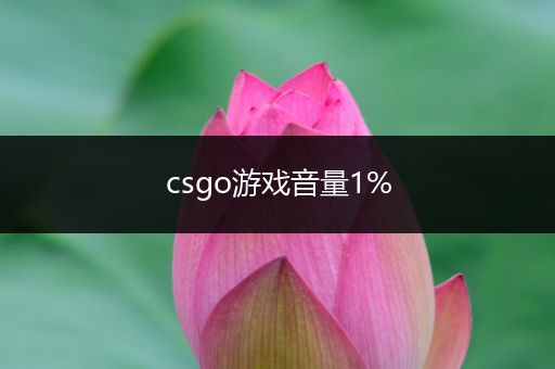 csgo游戏音量1%